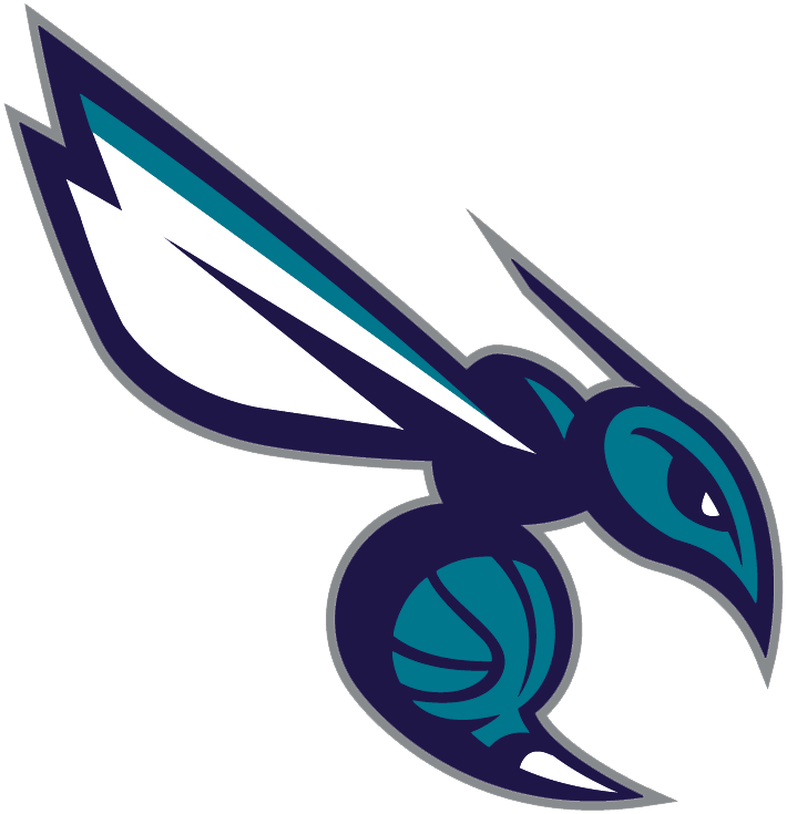 Charlotte Hornets 2014-Pres Alternate Logo v4 DIY iron on transfer (heat transfer)